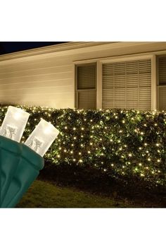 christmas lights in front of a house