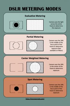 the different types of dots and lines