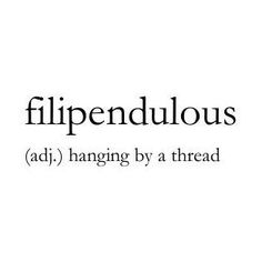 the word filipenduous is written in black and white