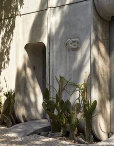 an old concrete building with plants growing out of it