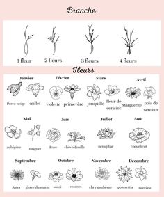 the different types of flowers and their names in french, english or german language on a pink background