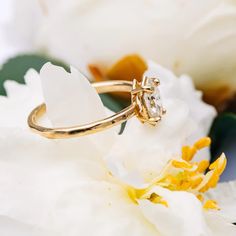 a diamond ring sitting on top of a white flower