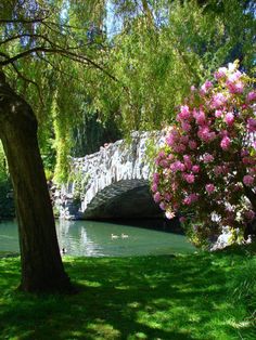 a bridge over a body of water with pink flowers on it and trees in the foreground