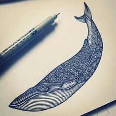 a drawing of a whale on paper next to a pen