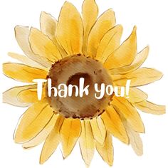 a watercolor painting of a sunflower with the words thank you