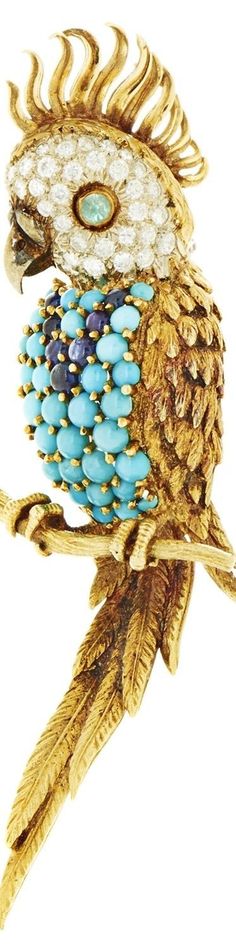 Birds Of Paradise, Jewel Tones, Parrot, Turquoise Necklace, Paradise, Birds, Turquoise, Animals