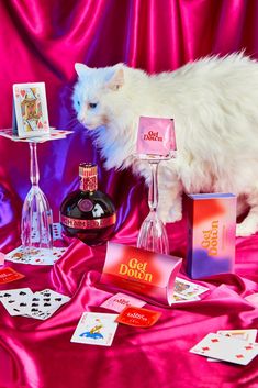 a white cat standing on top of a table next to cards and wine glasses