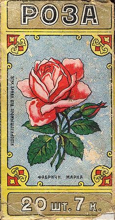 a postage stamp with a rose on it