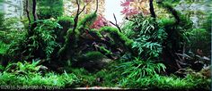 an aquarium filled with lots of green plants