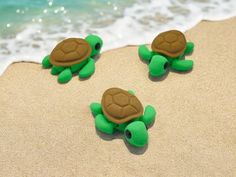 three small green and brown turtles on the beach