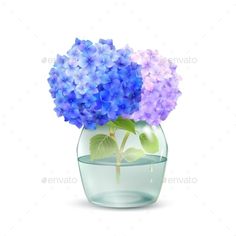 blue and purple hydrangeas in a glass vase with water - flowers & plants nature