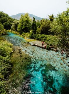 a river with blue water and trees in the foreground, surrounded by green foliage