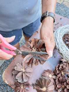 a woman is cutting up pine cones with scissors