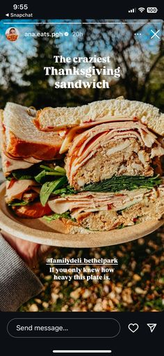 Thanksgiving Sandwich, Sandwiches, Snapchat, Thanksgiving