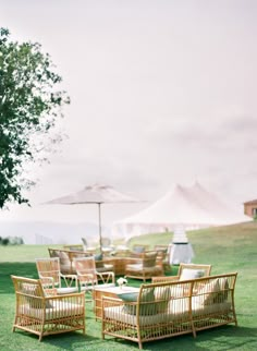 an outdoor seating area with chairs and umbrellas on the grass in front of some trees