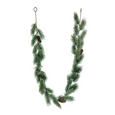 a pine branch with cones hanging from it's hooks on a white background in the shape of a wreath