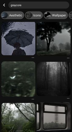 an iphone photo collage with trees and fog