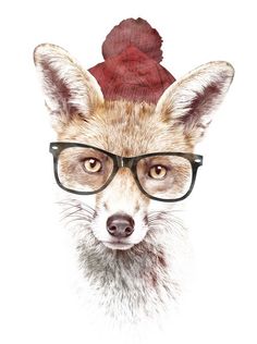 a fox wearing glasses and a red hat