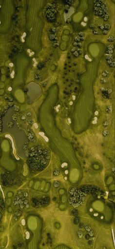 an aerial view of a golf course with water and trees