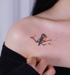 a small blue bird sitting on top of a branch