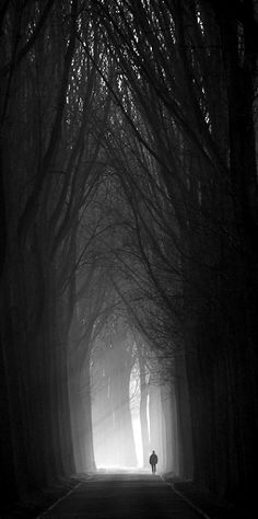 a person walking down a dark road in the woods