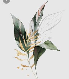 בר מצווה, Leaf Art, Beautiful Wall Art, Botanical Illustration, 그림 그리기