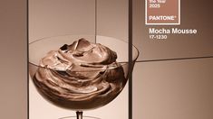 an ice cream sundae in a glass bowl on a table with pantone's mocha mousse