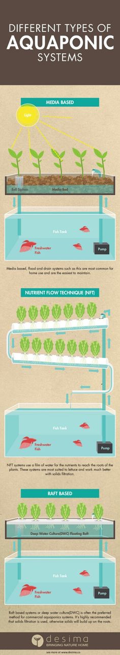 the different types of aquariums and how they are used to fish them in water