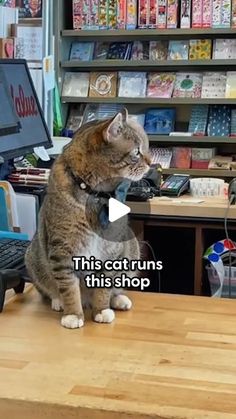 a cat sitting on top of a wooden table in front of a computer monitor and keyboard