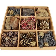 a box filled with lots of different types of pine cones and other things in it