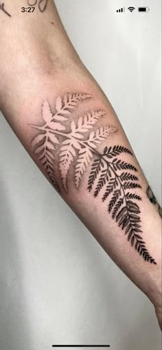 a fern leaf tattoo on the arm