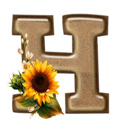 the letter f is made up of sand with flowers and leaves on it's sides