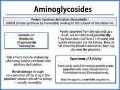 an image of the body and its functions in anatomic systems, including skeletal structures