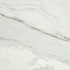 12 x 12 Honed Calacatta Gold Marble Tile Sample - Tilephile Tiles Color, Calacatta Gold Marble, Elegant Tiles, White Marble Tiles, Marble Polishing, Ceramic Subway Tile, Traditional Tile, Calacatta Gold, Porcelain Mosaic Tile