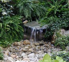 there is a small waterfall in the middle of this garden