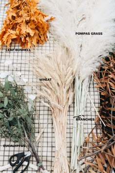 the different types of dried plants are shown on a table with scissors and other items