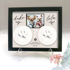 two dogs paw prints are placed in front of a frame