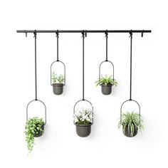 four hanging planters with plants in them