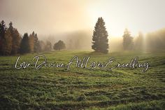 a field with trees and fog in the background that says we are growing all over everything