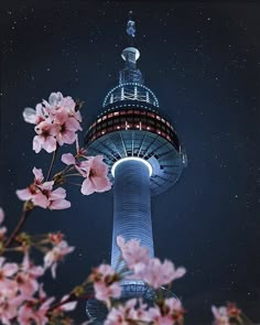 the sky tower is lit up with pink flowers