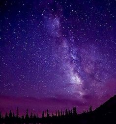 the night sky is filled with stars and bright purple hues as well as trees