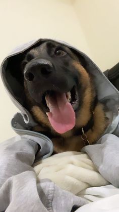 a dog wearing a hoodie laying on top of a bed with his tongue hanging out