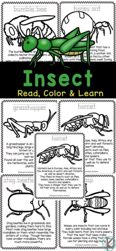 an insect is shown with instructions to learn how to draw it and read the text