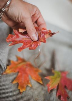 a person is holding some leaves in their hand and they are all falling off the ground