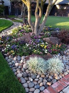 a garden with rocks and flowers in the grass near a large tree on top of a lawn