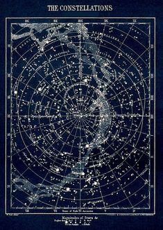 the star constellations vintage 1900's galaxy print