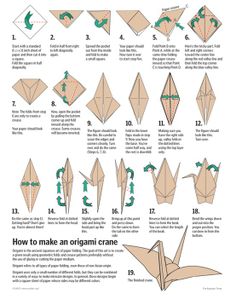 how to make an origami crane with pictures on the front and back side