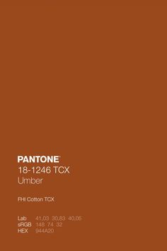 Pantone Fall Colors, Dark Pantone Colors, Deep Terracotta Color, Deep Orange Color Palette, Dark Orange Color Palette, Terracotta Pantone, Fall Orange Color, Grey Pantone, Free Adobe Illustrator