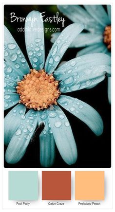 a blue flower with water droplets on it's petals and the words, brown easter