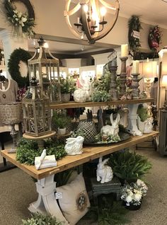 a room filled with lots of different types of plants and vases on top of shelves